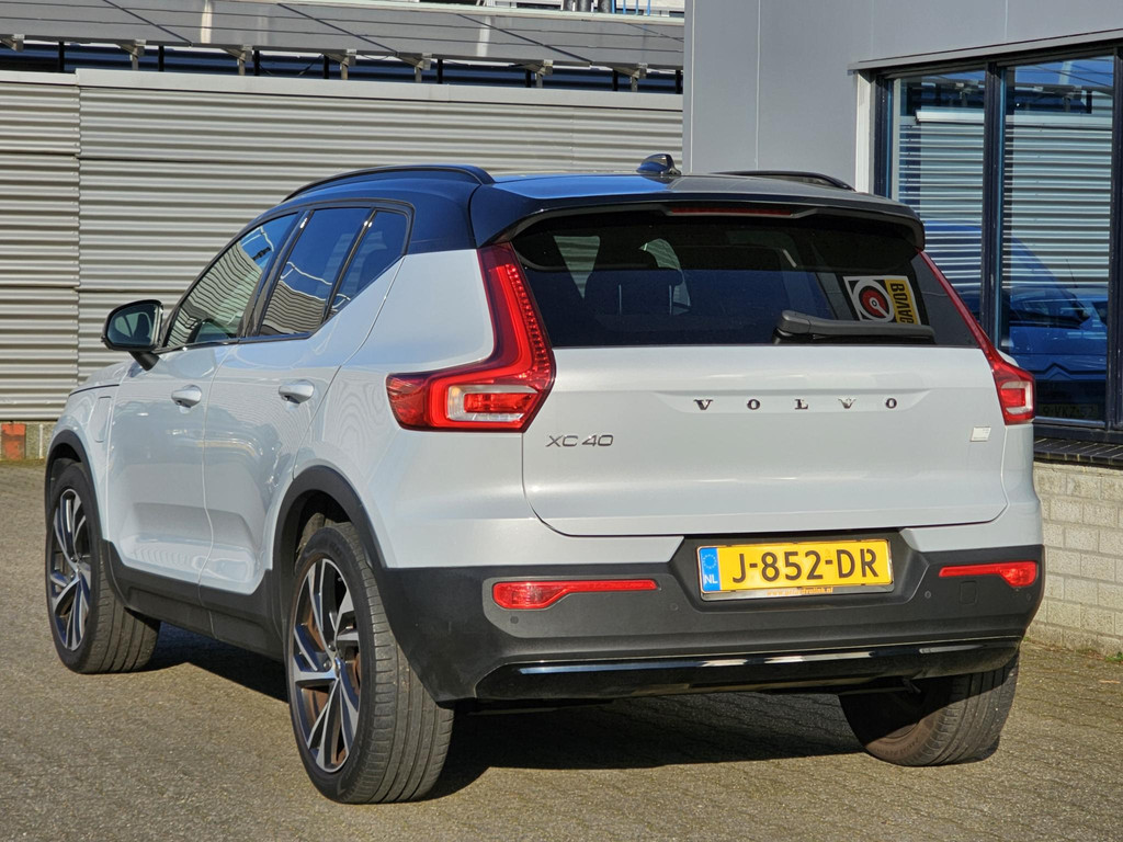 41597122-4.jpg