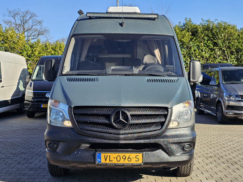43637913-7.jpg