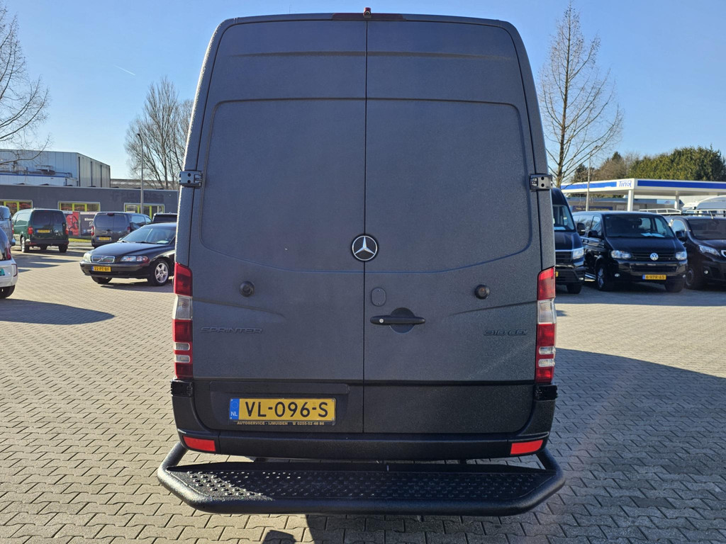 43637913-8.jpg