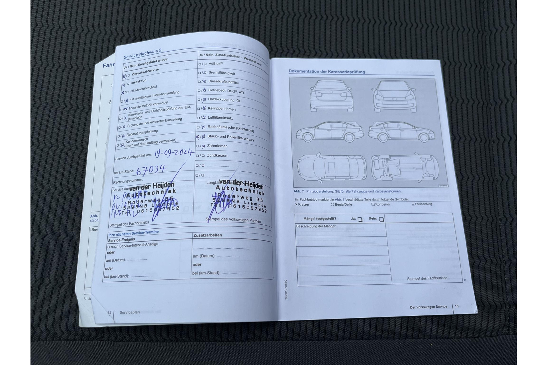 46258196-17.jpg