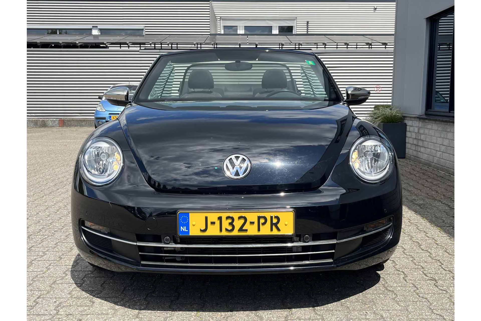 46258196-23.jpg