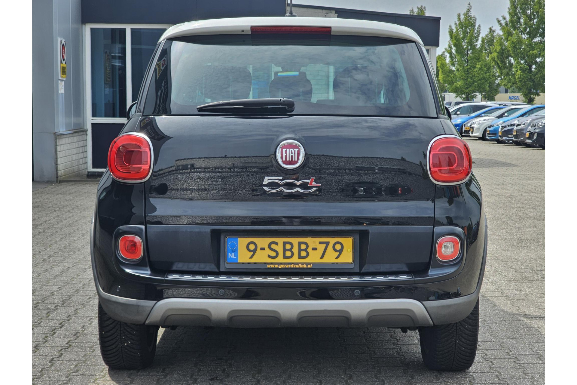 46650430-20.jpg